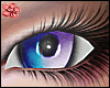 Its Magic! Unisex Eyes