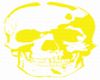 [D] Flashing Skull