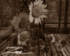 👀Country Sunflower
