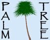 Derivable Palm Tree
