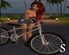 S. Animated Bike