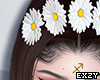 Daisies Headband