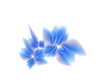 blue 3d flower