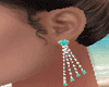 Earrings TurquoiseFamily