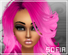 [SOF] Amdis Pink