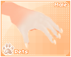 [Pets] Kinx | paws M