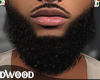 Asteri beard