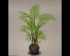 Art Deco Palm Plant