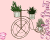 Bike Plants