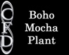 [CFD]Boho Mocha Plant
