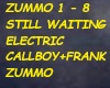 ELECTRIC CALLBOY+zummo