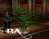 (BA) Deck Plant