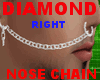 diamond nose chain