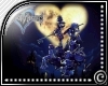 (c) Kingdom Hearts tee~M