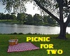 PICNIC FOR TWO