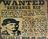 Wanted poster