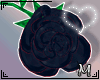 *M* Alfre Black Rose