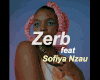 Zerb ft S.N - Mwaki