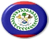 Bellzean flag button