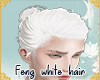 !A| Feng white hair