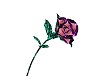 Purple and Pink Tin Rose