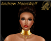 Sultry Wiccan Necklace