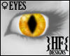 }HF{ Cat Eyes - Gold [F]