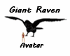 Giant Raven