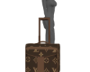 LV SUITCASE&POSE