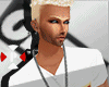 [NO] Capitalis  Obey Ne.