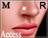 A. Titanium Nose Stud R