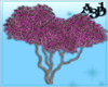 A3D* Buganvillea