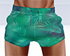 Hugh Swim Shorts