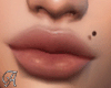 Peach Lips Zell
