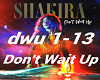Shakira Don't Wait Up