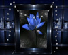 Lotos Blue Flower Ptrait