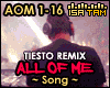 ! All Of Me - Tiesto Rmx