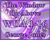 The Window Up Above
