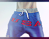 TG x USA Polo Shorts