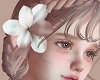 flower whitelily