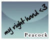 -P- My right hand .w.