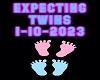 expecting twins1-10-2023