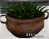 H. Porch Plant
