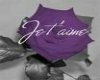 Purple Rose Te Quiero