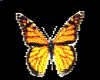 butterfly belly bling