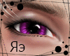 R| Two Tone Unisex Eyes8