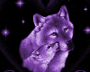 (MA)Purple Wolf Club