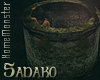 Sadako's Well
