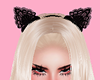 Lace Cat Ears