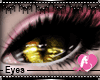 Bright Yellow Cat Eyes
